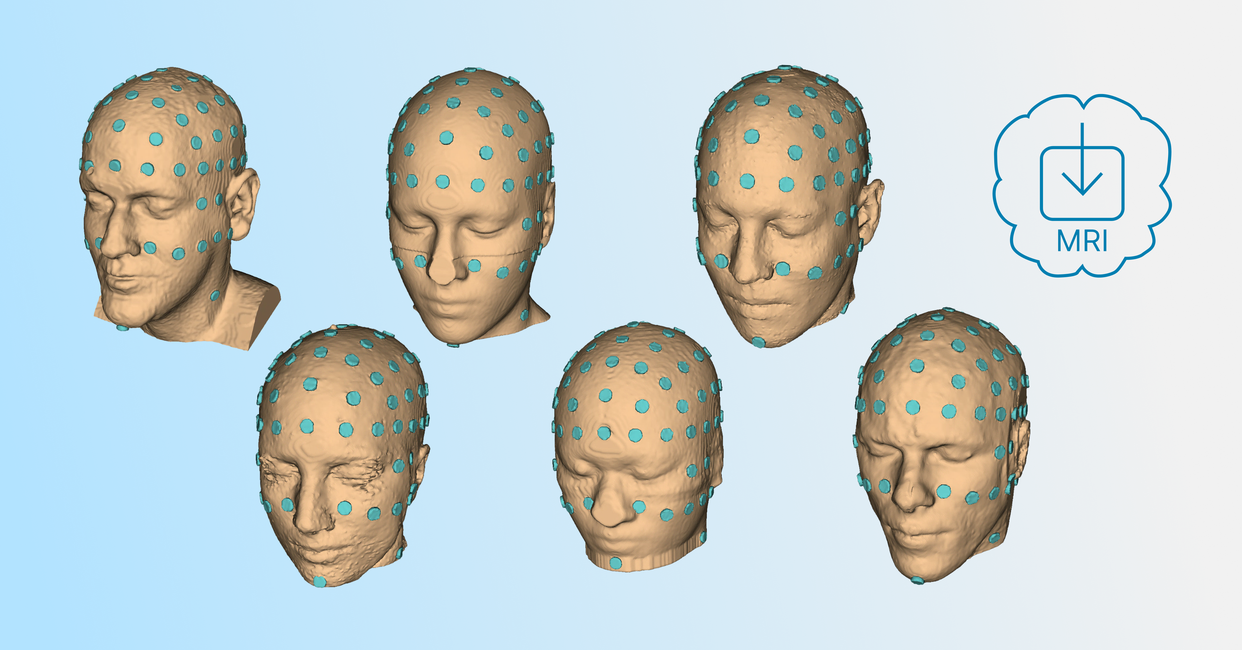 Step 1 Head and Electrode Model Selection